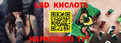 шишки Кимры
