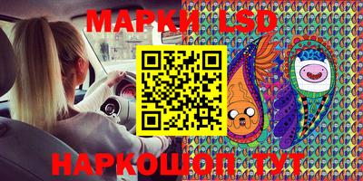 шишки Кимры