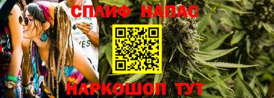 шишки Кимры