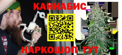 шишки Кимры