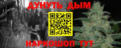 шишки Кимры