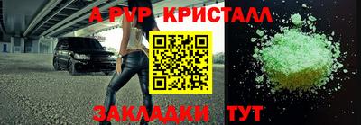 шишки Кимры