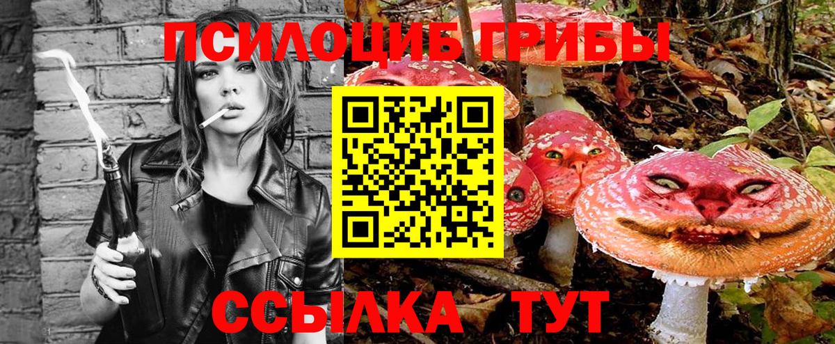 Псилоцибиновые грибы GOLDEN TEACHER  Псилоцибиновые грибы MAGIC MUSHROOMS  Вход с VPN  Миасс 